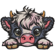 Cute Highland Cow Face Embroidery Design, Instant Download