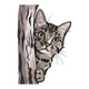Cute Kitten Behind Tree Embroidery Design, Peekaboo Cat Pattern, Instant Download