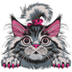 Cute Kitten Peeking Embroidery Design, Instant Download