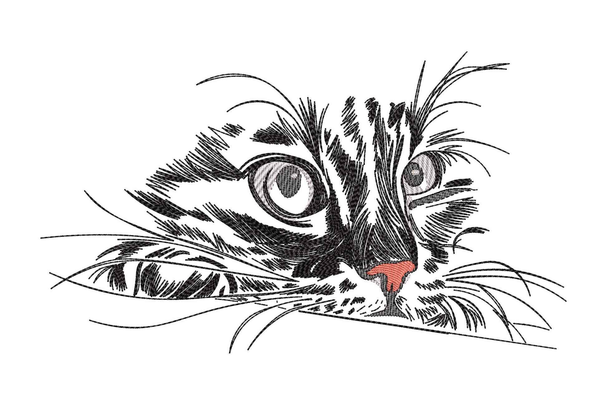 Cute kitty face embroidery design, tabby cat peeking chin-down with wide round eyes and coral nose, loose ink-sketch style in charcoal and black.