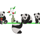 Panda Family Embroidery Design, Cute Animal Machine Embroidery Pattern, Instant Download