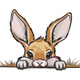Cute Peeking Bunny Embroidery Design, Instant Download