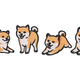 Cute Shiba Inu Dogs Embroidery Design, Instant Download