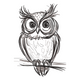 Cute Sketch Owl Embroidery Design, Instant Download