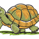 Cute Turtle Embroidery Design, Walking Cartoon Pattern