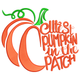 Cutest Pumpkin in the Patch Embroidery Design, Instant Download