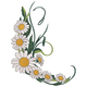 Daisy Curve Floral Embroidery Design, Instant Download