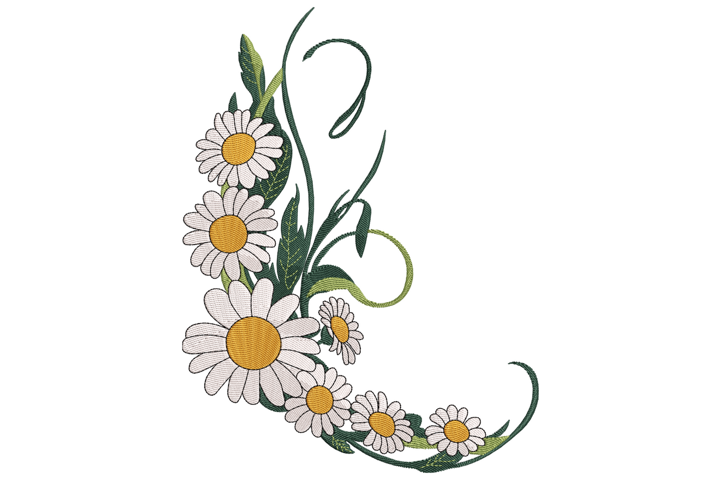 Curved daisy cluster with white petals, amber gold centres, dark green foliage, swirling vine tendrils, 5-colour floral embroidery.