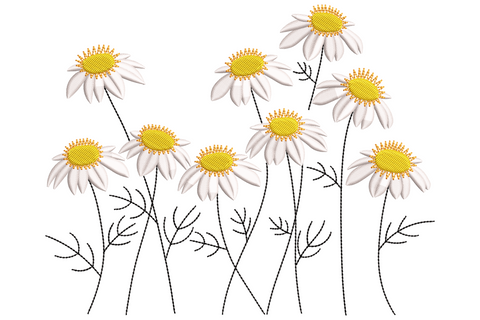 Daisy meadow embroidery, nine flowers with golden satin centres, white petals, thin black run-stitch stems and leaves.