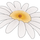 Daisy Flower Embroidery Design, Single Bloom Floral Pattern