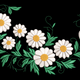 Daisy Vine Border Embroidery Design, Instant Download