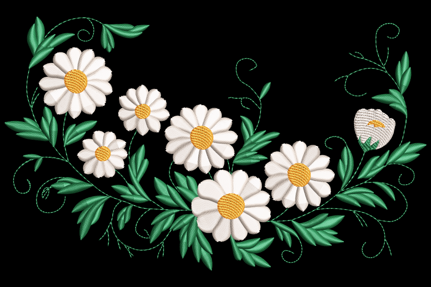 Daisy vine border embroidery design with five white daisies, yellow centres, green leaves, curling tendrils and a tulip bud.