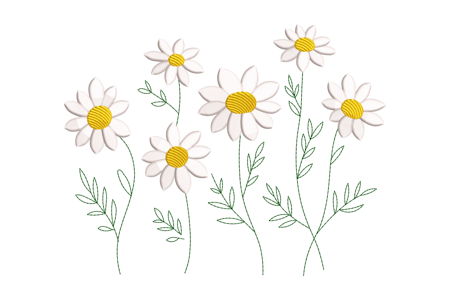 Illustration of white flowers with yellow centers on a white background