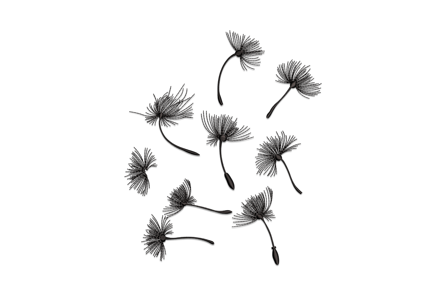 Dandelion seedhead embroidery design with airy wispy seed filaments dispersing from a single stem, single colour light-density botanical illustration style