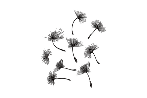 Dandelion seedhead embroidery design with airy wispy seed filaments dispersing from a single stem, single colour light-density botanical illustration style
