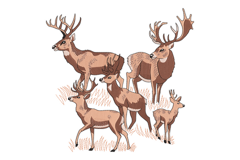 Deer family embroidery design with two antlered stags, a doe and a fawn in a field, etching-style fills in tan and brown.