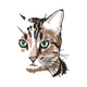 Detailed Cat Face Embroidery Design, Instant Download