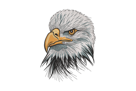 Detailed bald eagle head embroidery in three-quarter profile, directional feather stitching, amber eye and steel blue-grey neck ruff.