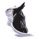 Detailed Horse Head Embroidery Design, Equestrian Machine Embroidery Pattern, Instant Download