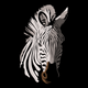 Detailed Zebra Head Embroidery Design, Instant Download