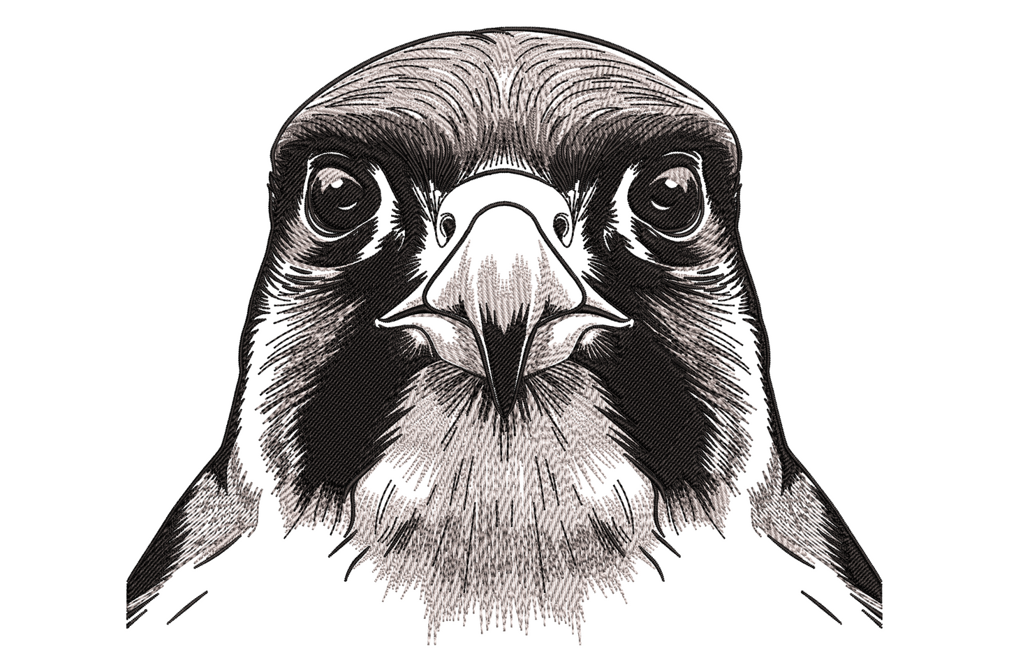 Black and white ink crosshatch eagle face portrait with intense dark eyes, hooked beak and dense directional feather shading.