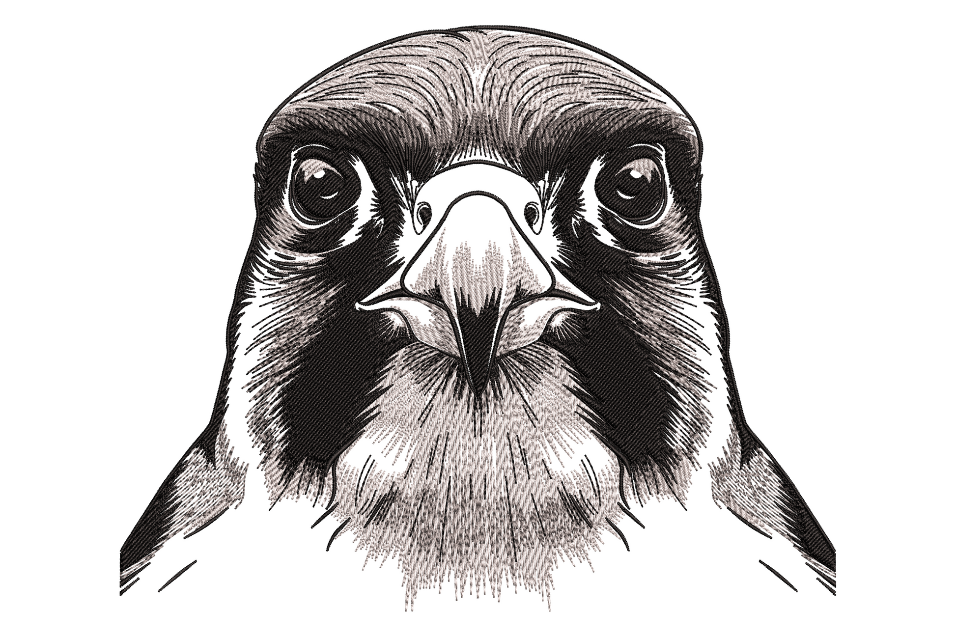 Black and white ink crosshatch eagle face portrait with intense dark eyes, hooked beak and dense directional feather shading.