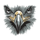 Eagle Face Embroidery Design, Wildlife Machine Embroidery Pattern, Instant Download