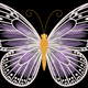 Elegant Butterfly Embroidery Design, Instant Download