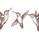 Elegant Hummingbird Trio Embroidery Design, Instant Download