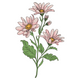 Elegant Pink Daisy Flower Embroidery Design, Machine Embroidery Pattern, Instant Download