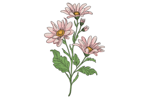 Elegant pink daisy spray embroidery with three blush-pink blooms, mustard gold centres and sage green stem.
