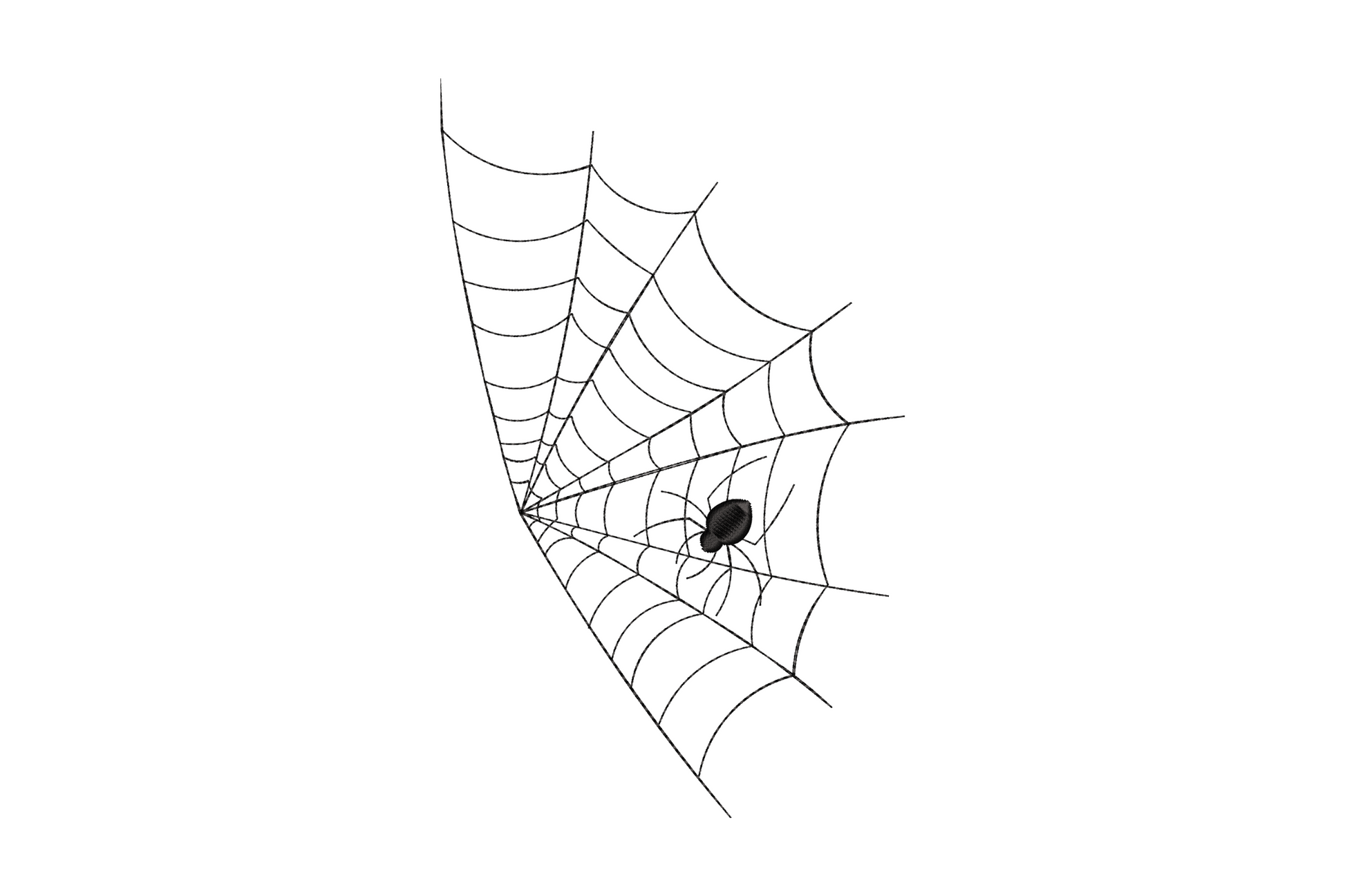 Elegant corner spider web embroidery design with radial spokes and a small solid spider at the hub, portrait orientation, black thread