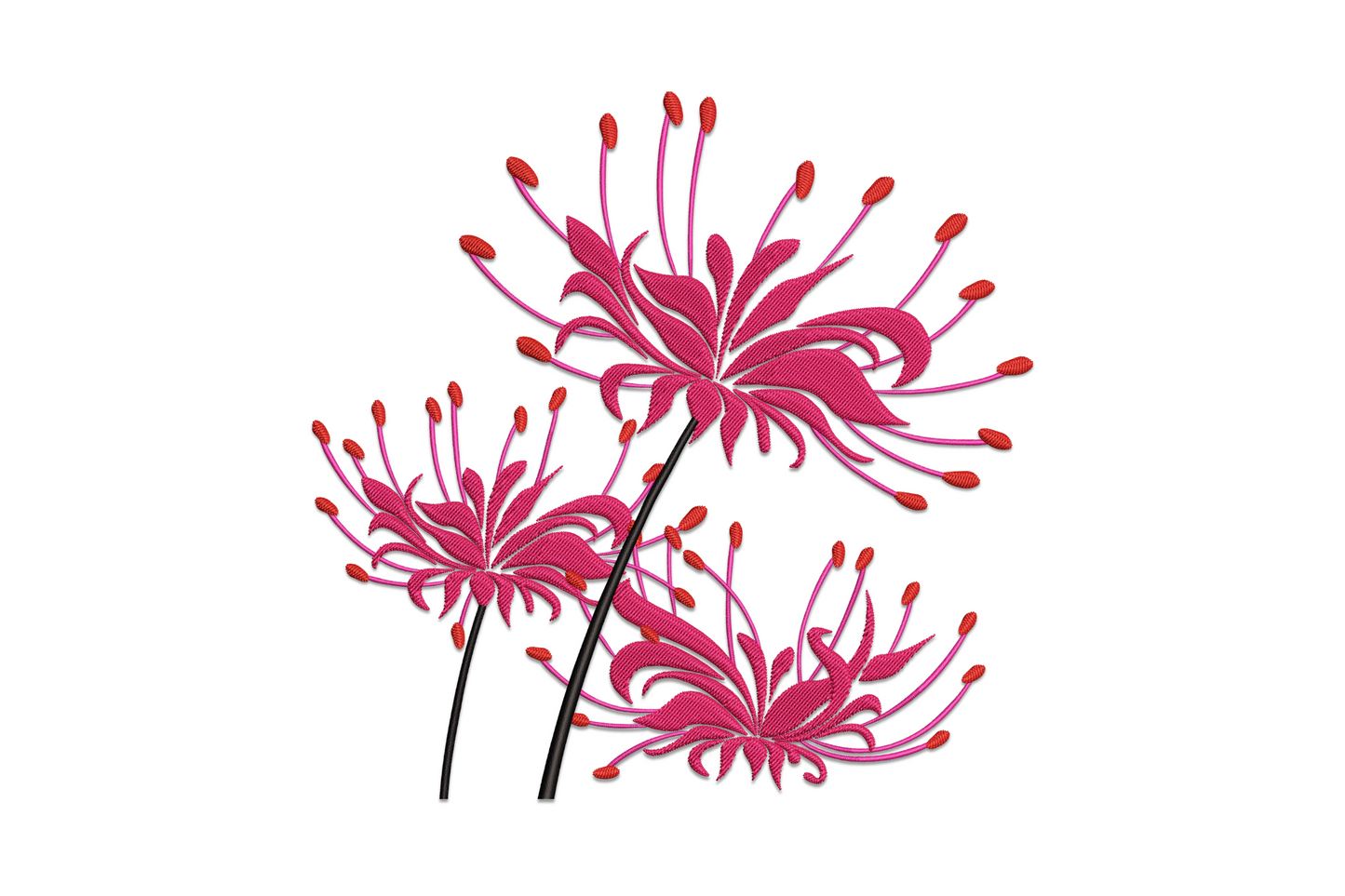 Elegant spider lily embroidery design with arching stamens and backward-curling petals in crimson and rose pink, botanical floral pattern