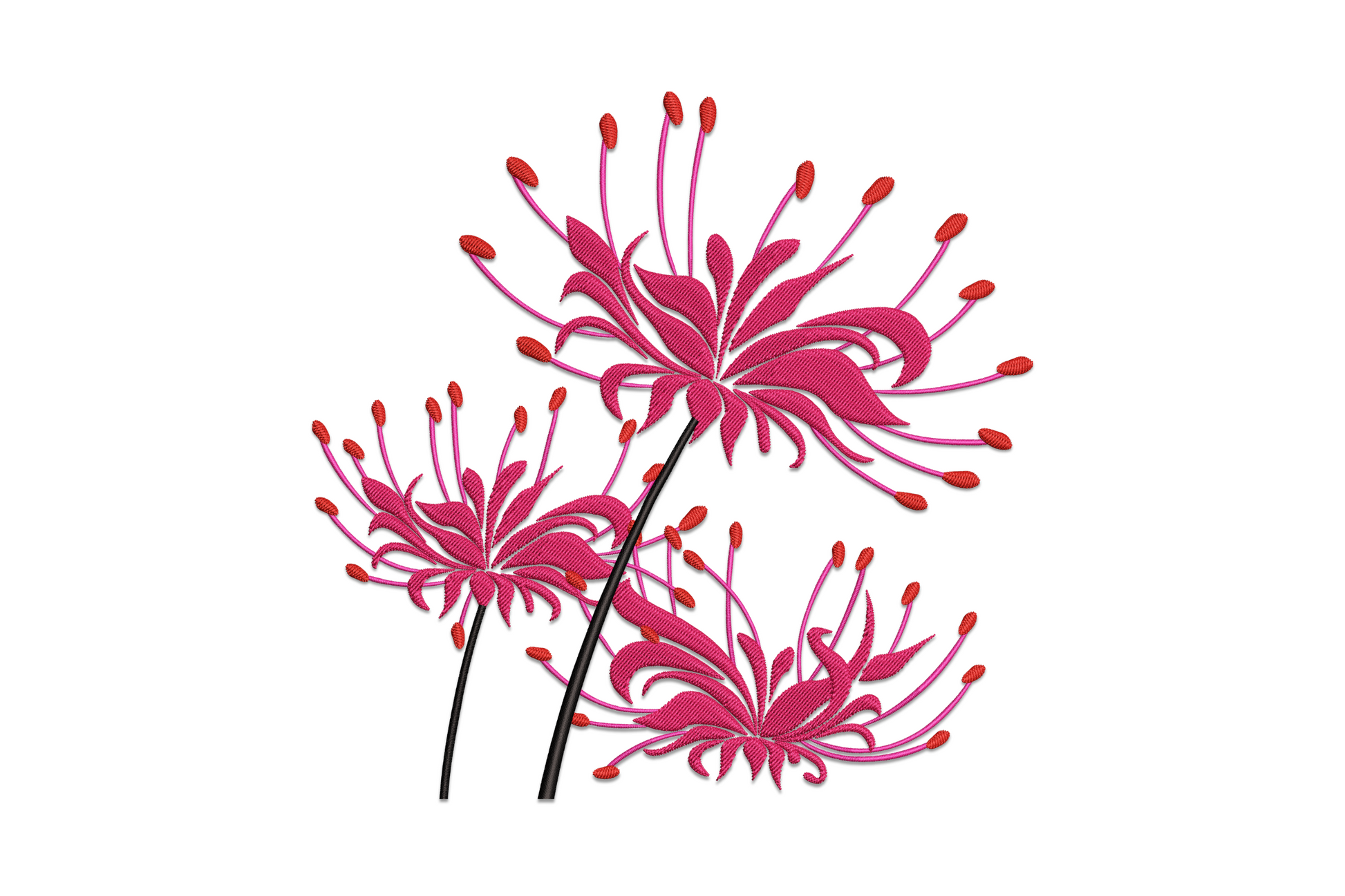 Elegant spider lily embroidery design with arching stamens and backward-curling petals in crimson and rose pink, botanical floral pattern