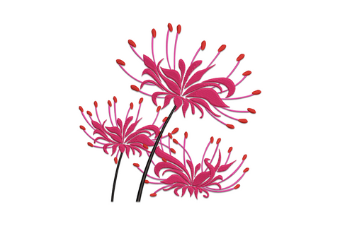 Elegant spider lily embroidery design with arching stamens and backward-curling petals in crimson and rose pink, botanical floral pattern