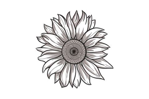 Elegant sunflower embroidery design in vintage engraving style, monochrome black and grey, with dense crosshatch centre disc and parallel-shaded layered petals.