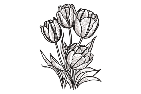 Elegant tulip flower bouquet embroidery design, five cupped tulips with hatched botanical linework, 2 colors, 9 sizes