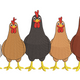 Farm Chickens Line-Up Embroidery Design, Instant Download
