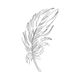 Feather Outline Embroidery Design, Instant Download