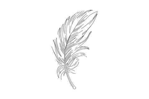Single colour black feather outline embroidery design, wispy hand drawn quill barbs in running stitch sketch style.