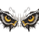 Fierce Owl Eyes Embroidery Design, Instant Download