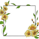 Floral Frame Embroidery Design, Instant Download