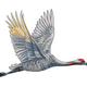 Flying Crane Embroidery Design, Instant Download