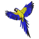 Flying Macaw Embroidery Design, Parrot Bird Embroidery Pattern, Instant Download