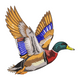 Flying Mallard Duck Embroidery Design, Realistic Wildlife Pattern, Instant Download