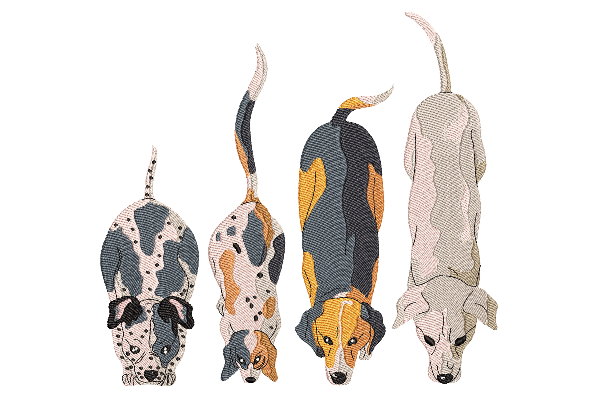 Four mixed breed dogs viewed from above with heads bent down sniffing the ground and tails up behind, lined up from spotted to cream coated in a horizontal pack