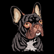 French Bulldog Embroidery Design, Instant Download