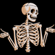 Funny Skeleton Shrug Embroidery Design, Instant Download