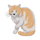 Ginger & White Cat Embroidery Design, Instant Download