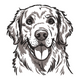 Golden Retriever Dog Embroidery Design, Dog Machine Embroidery Pattern, Instant Download